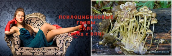 первитин Арсеньев