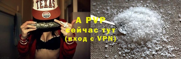 прущие крисы Пересвет